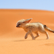 Image for article titled The 100 Most Astonishing Images of 2013
